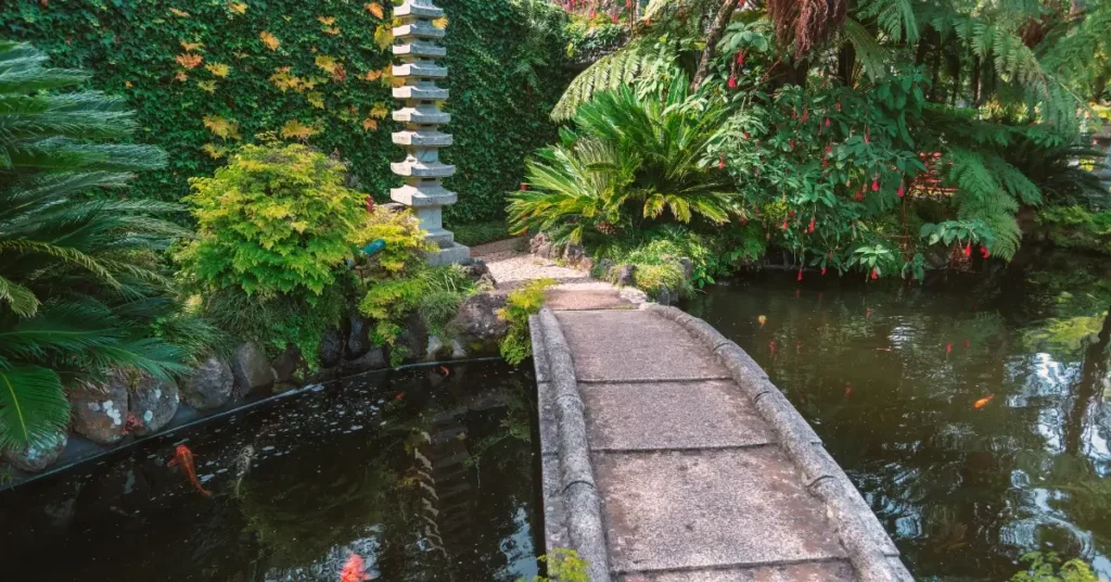 Zen Garden Design