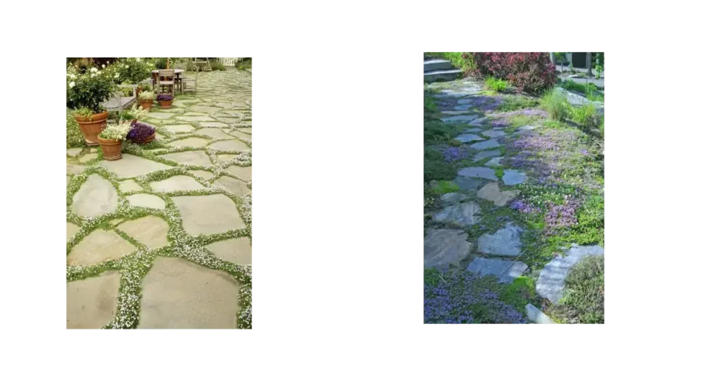 italian garden path design 